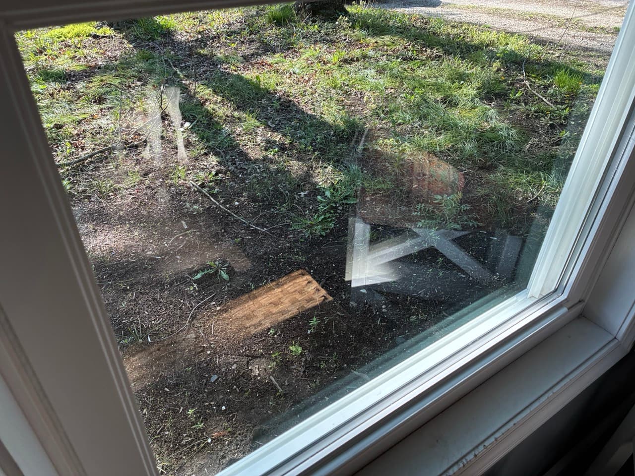 After window cleaning photo 11