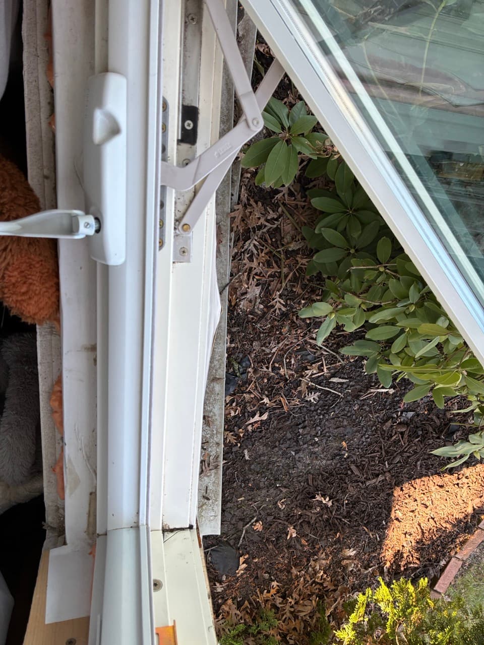 After window cleaning photo 5