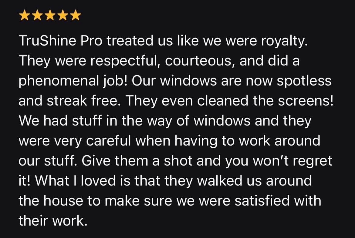 Customer review screenshot 2